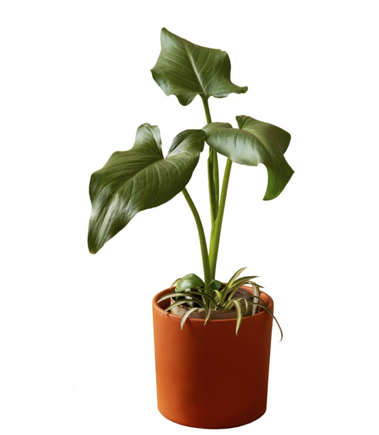 Brown Plastic Flower Pot